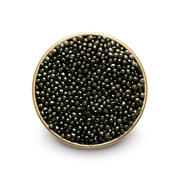 Caviar Baerii 