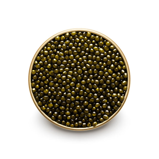 Osciètre Caviar